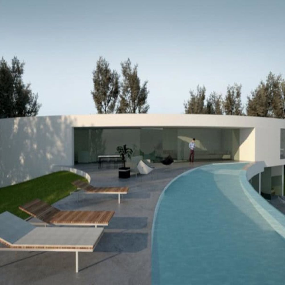 palmares-lote-61-3